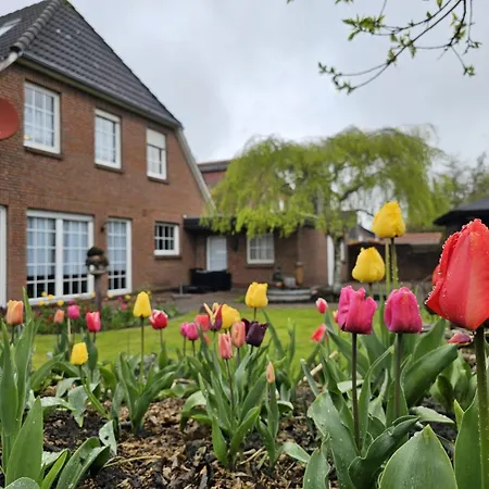 Apartment Buhne 2 Norden